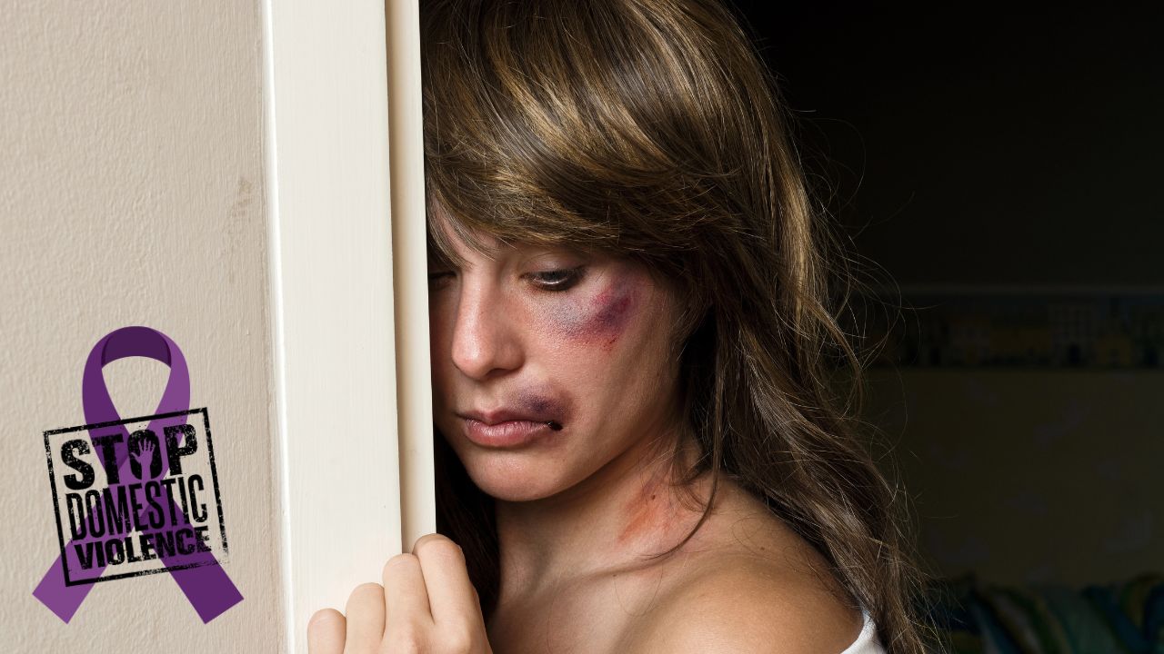 Domestic Violence Definition