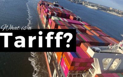 Who pays a tariff? (Tariffs explained)